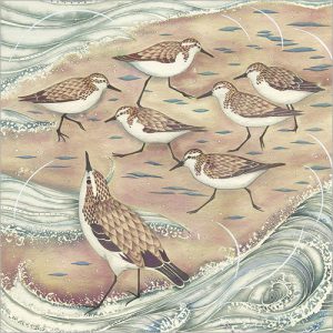Little Birds on the Shore - FP5054