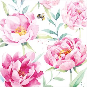 Pink Peonies - FP5058