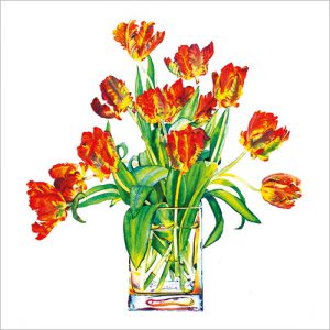 Tulips - FP5102
