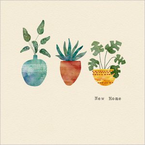 Three Pot Plants (New Home) - FP5132