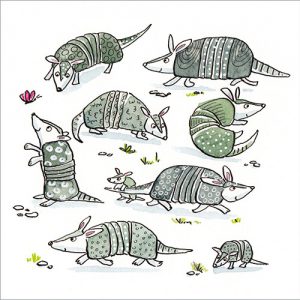 Armadillos - FP5134