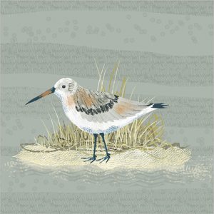 Sandpiper - FP5157