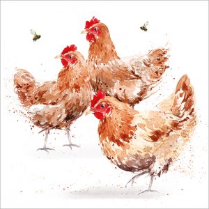 Three Chickens - FP5163
