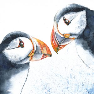 Puffins - FP5189