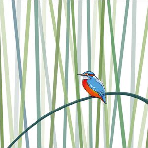 Kingfisher - FP5197