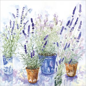 Lavender Pots - FP6027