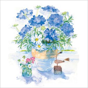 Scabious Still Life - FP6047