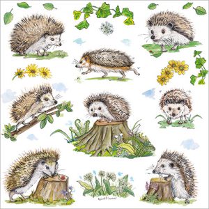 Hedgehogs - FP6179