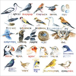 Bird Alphabet - FP6180