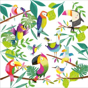 Exotic Birds - FP6182