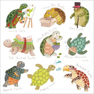 Turtles - FP6193