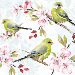 Blossom and Greenfinches - FP6196