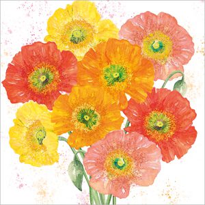 Icelandic Poppies - FP6279