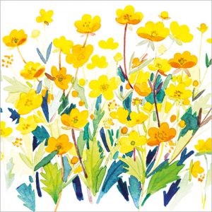Buttercups - FP6290