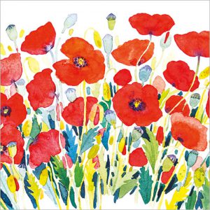 Poppies - FP6291