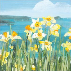 Daffodils by the Coast - FP6302