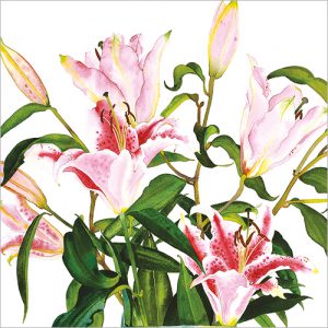 Pink Lilies - FP6303