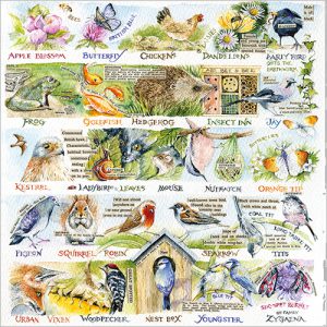 Nature's Alphabet - FP6320