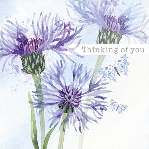 Blue Flowers (Thinking of You) - FP6329