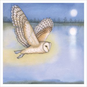 Barn Owl Over the Broads - FP6347