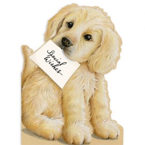 Labrador Puppy (Special Wishes) - FP7013