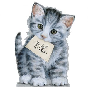 Kitten - FP7019