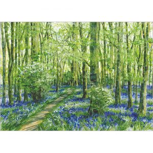 Bluebells - FP7031