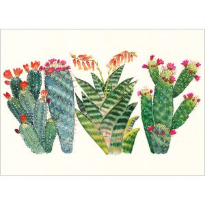 Cacti - FP7044