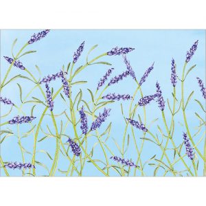 Lavender - FP7045