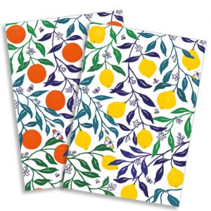 Orange & Lemon Tree Notelets pack of 8 - NC023