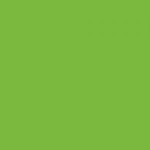 Citrus Green Tissue (5 sheets) - TS02