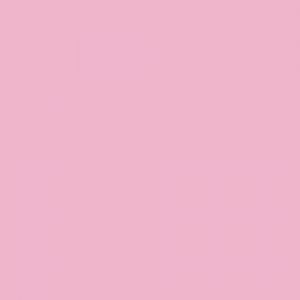 Pale Pink Tissue (5 sheets) - TS05