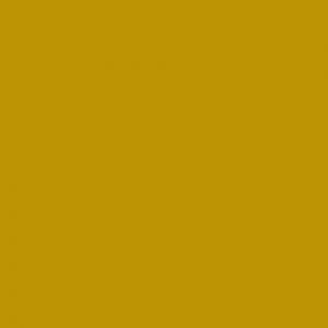 Metallic Gold Tissue (3 sheets) - TS11