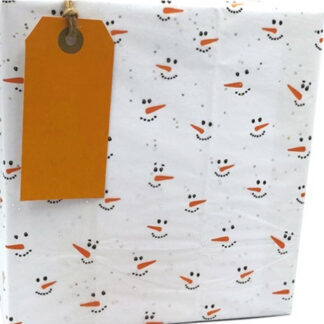Frosty Tissue 5 sheets - TS13
