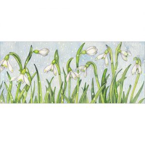 Snowdrops pack of 8 - XC080
