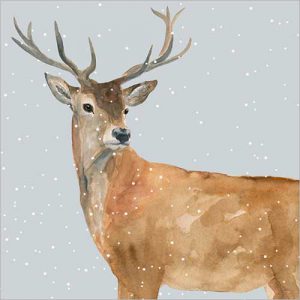 Deer in the Snow pack of 8 - XC087