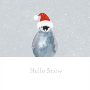 Hello Snow Pack of 8 - XC109
