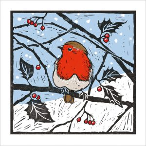 Robin Pack of 8 - XC124