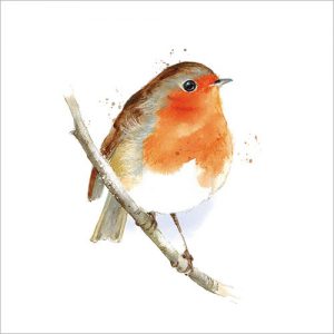 Robin on a Branch - XC144