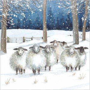 Winter Sheep pack of 8 - XC170