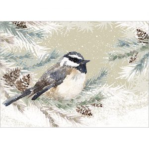 Coal Tit in Winter pack of 8 - XC177
