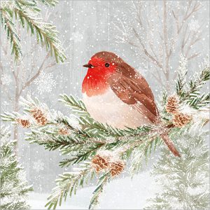 Robin in Snow pack of 8 - XC192