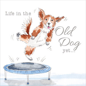 Life In The Old Dog Yet...