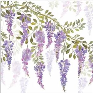 Wisteria Blossom