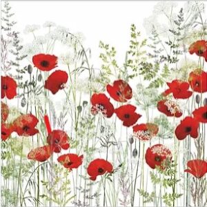 Poppy Field
