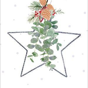 Star with Eucalyptus - XCA08