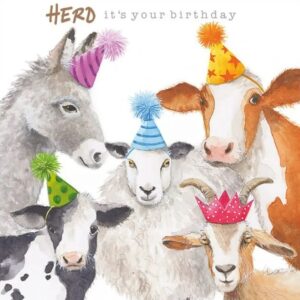 Herd It's Your Birthday