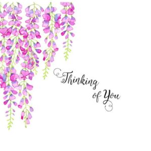 Thinking of You Wisteria