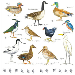 Water Birds