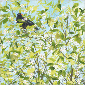 Blackbird Love